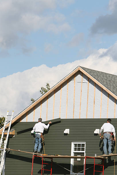 Affordable Siding Repair and Maintenance Services in Hollywood, FL